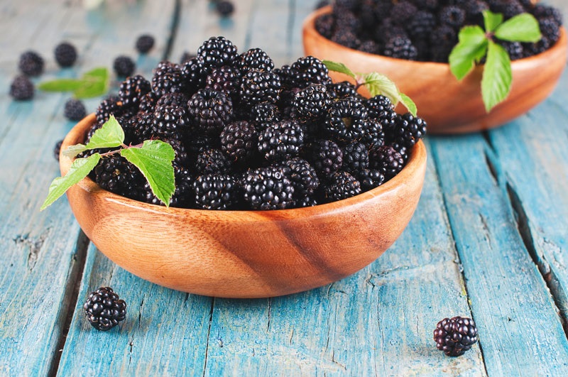 Can dogs eat blackberries